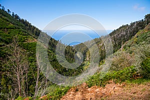 Spectacular panoramic view of Funchal, capitol of Madeira from mountain top. photo