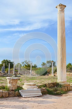 Spectacular ruins of ancient Greek city Salamis taken with blue sky above. The Antique columns were part of Salamis Gymnasium.