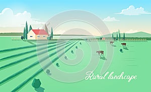 Spectacular rural landscape with farm building, windmill, cows grazing in green field against beautiful sky on