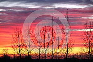 Spectacular Saskatchewan rainbow Sunset