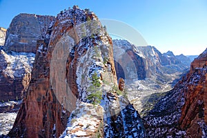 Spectacular shot of a massive rock formation in the middle of Zion National Park