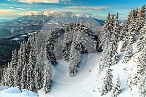 Spectacular snowy winter landscape,Poiana Brasov,Carpathians,Transylvania,Romania,Europe