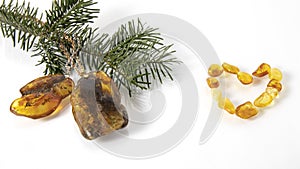 Spectacular sparkling yellow and green old Baltic amber pendants on the fresh fir branch on the white background.