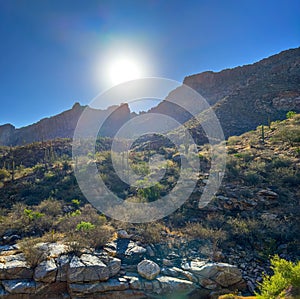 Spectacular sunrise in Sabino Canyon, Tucson, AZ with mountains and vegetation