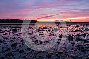 Sunset over mudflats in Maine. photo