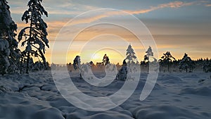 Spectacular sunset view over snow field with hanging low frosty fog in snow covered scandinavian forest - absolutely quiet evening