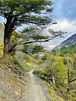 The spectacular trail to Chileno basecamp