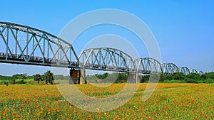 The spectacular Truss of Old Railway Bridge