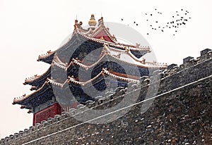The spectacular turrets of the Forbidden City in the snow. photo