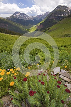 Spectacular view Colorado mountains and summer