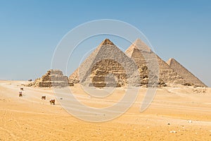 Spectacular Scenery of the Giza Pyramids (Cairo, Egypt)