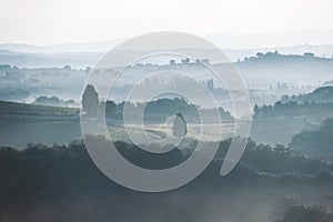 Spectacular view with italian autumn foggy fields in tuscany val