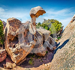 Spectacular view of Rock of the Bear. Bright morning scene of Sardinia island, Capo D`orso, Province of Olbia-Tempio, Italy, Euro photo