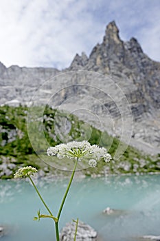 Spectacular view on the Sorapis Lake in the Dolomites, Italy