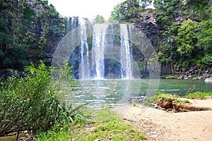 Spectacular view of Whangarei Falls, New Zealand