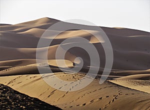 Spectacular views of high and astonishing Sand Dunes in Sahara Desert