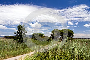 Spectacular views, Tuscany, Italy , a summer day