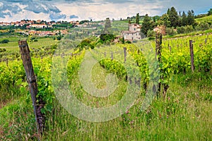 Spectacular vineyard with stone houses, Chianti region, Tuscany, Italy, Europe