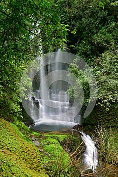 Spectacular Waitanguru Falls in New Zealand