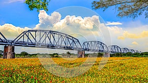 The spectacular Warren Truss Old Railway Bridge over scenic flower field.