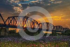 The spectacular Warren Truss Old Railway Bridge.Scenic historical iron bridge view over scenic flower field at sunset