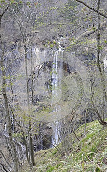 Spectacular Waterfall in spring forest landscape from Kegon falls in Nikko National Park Japan