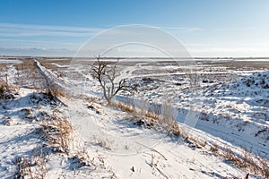 A spectacular winter landscape in the Russian countryside with waterfront. Surroundings of Taganrog