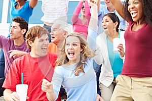 Spectators Celebrating At Outdoor Sports Event