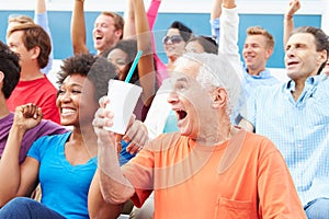 Spectators Cheering At Outdoor Sports Event