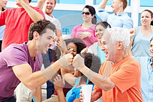 Spectators Cheering At Outdoor Sports Event