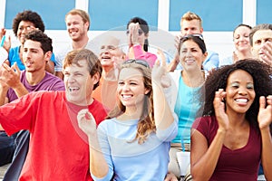 Spectators Cheering At Outdoor Sports Event