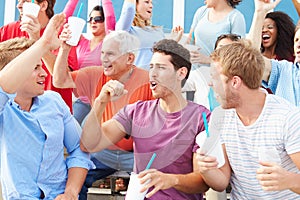 Spectators Cheering At Outdoor Sports Event