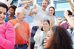 Spectators Cheering At Outdoor Sports Event