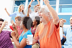 Spectators Cheering At Outdoor Sports Event