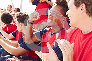 Spectators In Team Colors Watching Sports Event