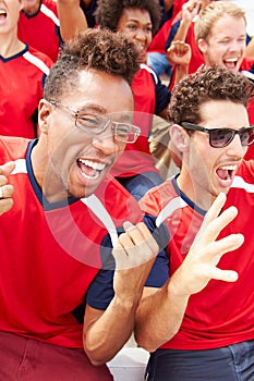 Spectators In Team Colors Watching Sports Event