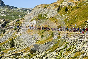 Spectators - Tour de France 2015