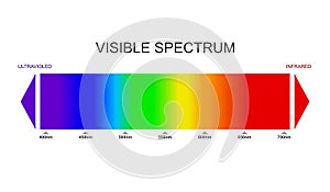 Spectrum, visible light diagram. Portion of the electromagnetic spectrum that is visible to the human eye. Color