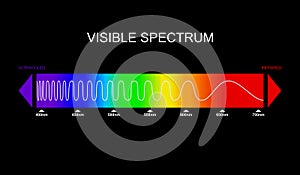 Spectrum, visible light diagram. Portion of the electromagnetic spectrum that is visible to the human eye. Color