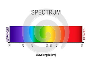 Spectrum. visible light, infrared, and ultraviolet. electromagnetic radiation photo