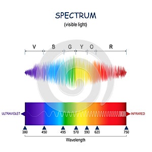 Spectrum. Visible light