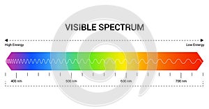 Spectrum wavelength. Visible spectrum color range. Educational physics light line. Wavelengths of the visible part of