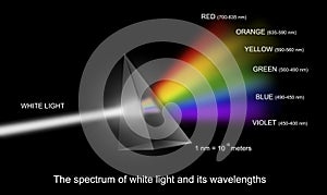 Spectrum of white light with wavelengths