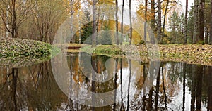 Specular reflection of trees in water in backwoods, wild area in beautiful forest in Autumn, Valday national park