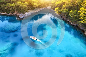 Speed boat in blue sea at sunrise in summer. Aerial view