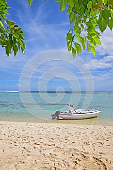 Speed boat docked at seashore with visible green leaves and sandy beach