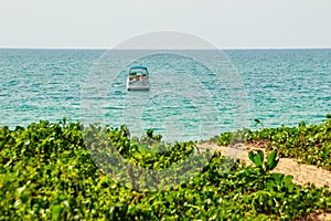 Speed boat moored at shore side, view from forest beach. Seascape view with forest tree and boat. Peaceful beach with yacht and t