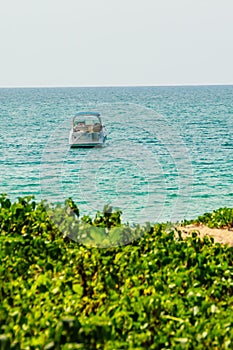 Speed boat moored at shore side, view from forest beach. Seascape view with forest tree and boat. Peaceful beach with yacht and t