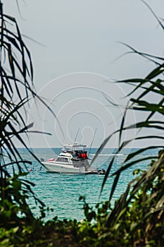 Speed boat moored at shore side, view from forest beach. Seascape view with forest tree and boat. Peaceful beach with yacht and t