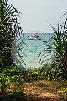 Speed boat moored at shore side, view from forest beach. Seascape view with forest tree and boat. Peaceful beach with yacht and t